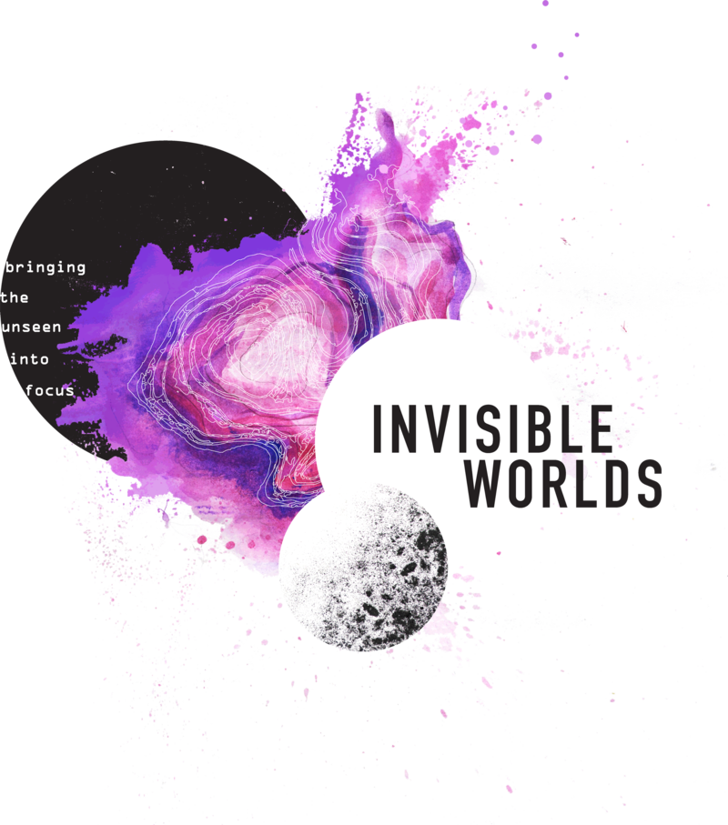 Invisible Worlds